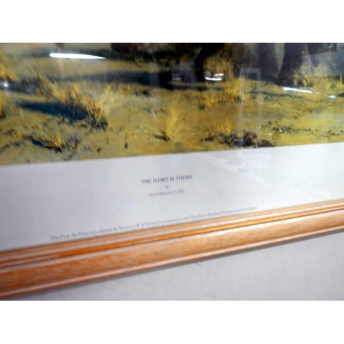 677 - A framed and glazed David Shepherd print entitle 'The Ivory is Theirs' COLLECT ONLY.