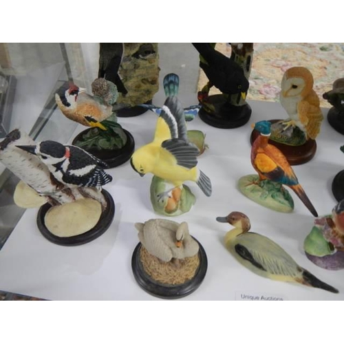 833 - A mixed lot of bird figures including Royal Worcester, Border Fine Arts, Country Arts etc.,