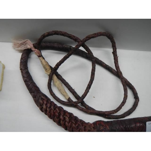 315 - A very old horse whip in good condition.