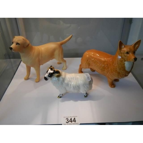 344 - A trio of Beswick animals - A matt labrador, a glazed corgi and a glazed ram, all stamped and in goo... 