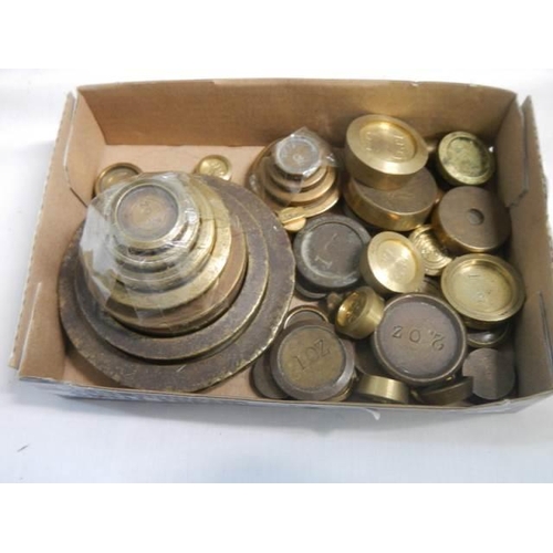 451 - A good lot of brass weights.