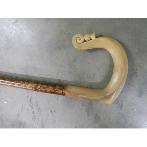 507 - A Scottish style walking stick with bone handle.