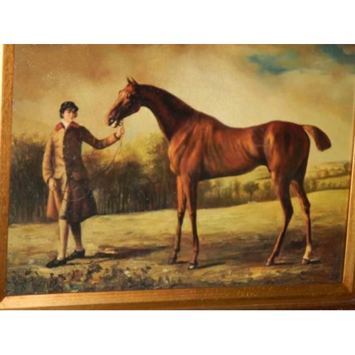 607 - An oil on board racehorse study,  COLLECT ONLY.