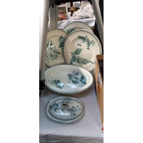 2444 - A collection of 19th century Wedgwood Botanical Pearlware items including 5 plates, dish etc (age re... 