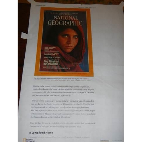 966 - A framed portrait on canvas entitled 'The Afghan Girl' (Front page of National Geogrpahic 1985). COL... 