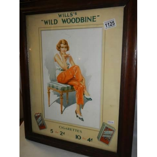 1125 - A Wills Woodbine advertisement. COLLECT ONLY.