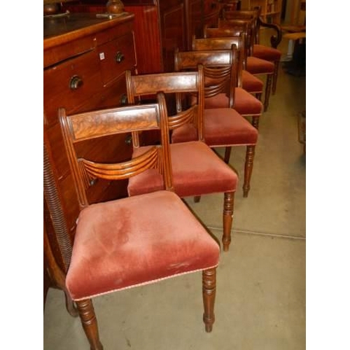 A set of seven good quality dining chairs, COLLECT ONLY