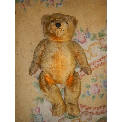 900B - A large 1950's Teddy bear