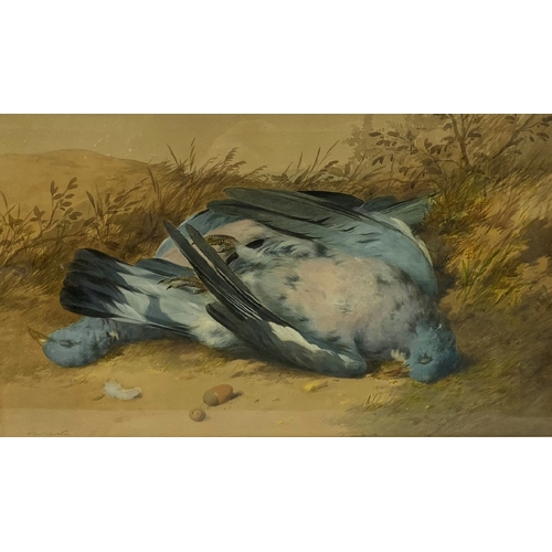 700B - Two framed and glazed Cruickshank (William, 1848-1922) watercolour life studies of shot gamebirds