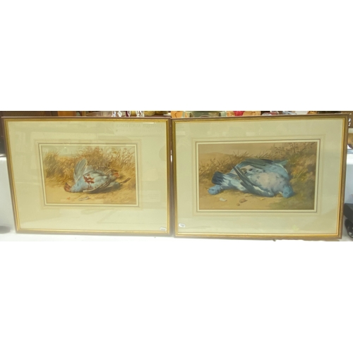 700B - Two framed and glazed Cruickshank (William, 1848-1922) watercolour life studies of shot gamebirds