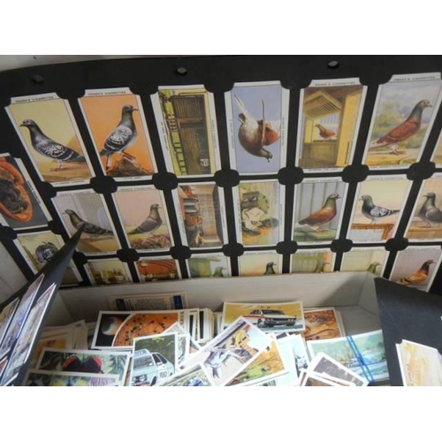 50 - A good lot of tea cards.