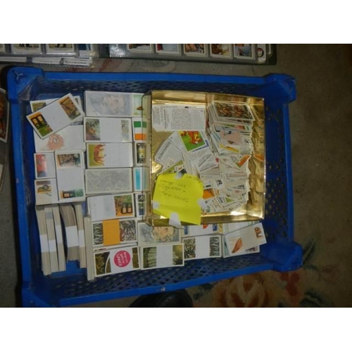 141 - A large lot of cigarette and tea cards.