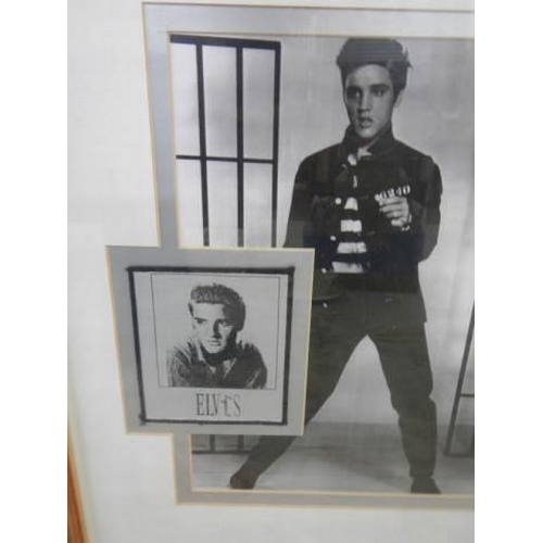 249 - A Framed and glazed Elvis picture.