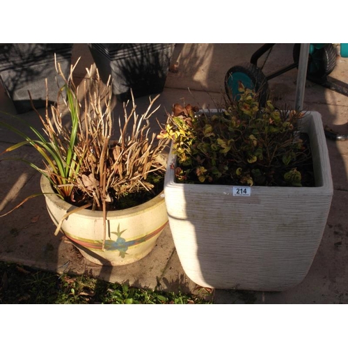 214 - 2 x Garden Planters with Plants