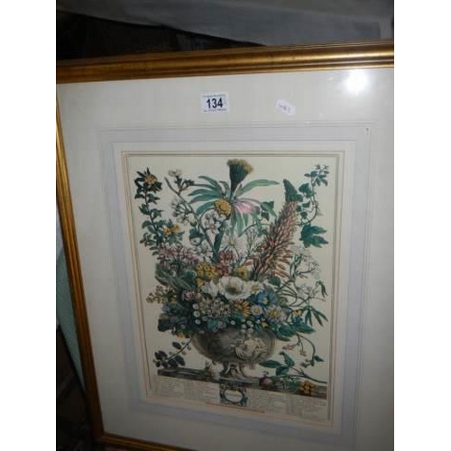 134 - A pair of framed and glazed botanical prints, COLLECT ONLY.