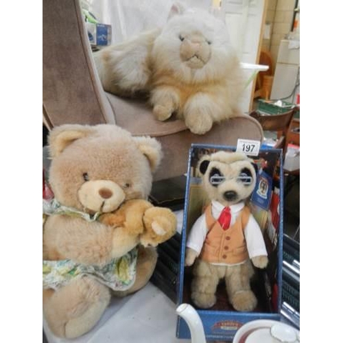 197 - A boxed meercat, a teddy bear and a cat.