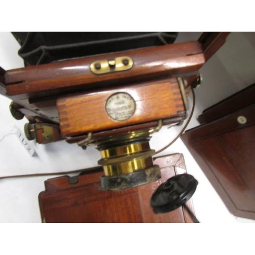 1172 - A good late Victorian wood and brass plate camera by Thornton Pickard with spare plates.