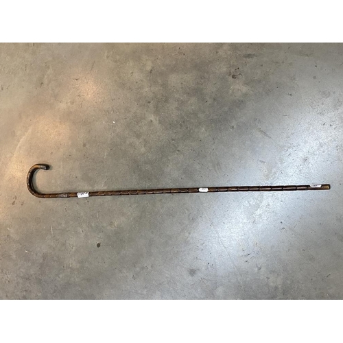 1100D - A cane with a silver band and a silver top