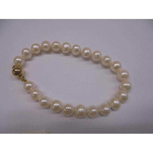 1199 - A white gold cultured pearl bracelet with 9ct yellow gold ball clasp.