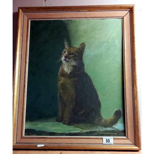 50 - A vintage acrylic on board of a cat signed Stanley Miller  49 x 59cm COLLECT ONLY