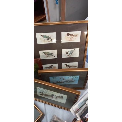 312 - 7 Small framed & Glazed pictures of birds (5 of which are Cashs woven pictures)