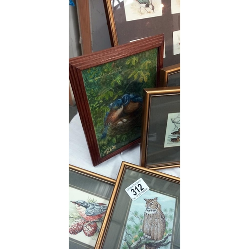 312 - 7 Small framed & Glazed pictures of birds (5 of which are Cashs woven pictures)