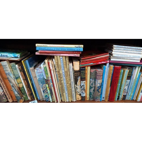 246 - A good lot of children's books