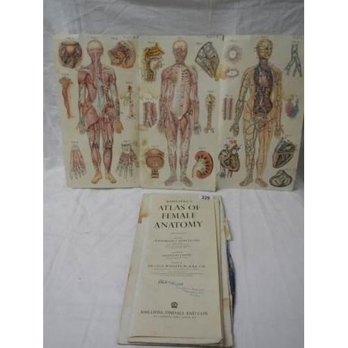 229 - An Atlas of Female Anatomy, in poor condition.