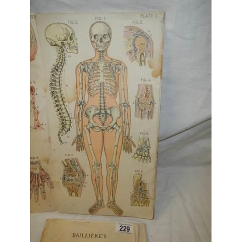 229 - An Atlas of Female Anatomy, in poor condition.