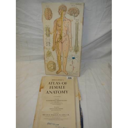 229 - An Atlas of Female Anatomy, in poor condition.