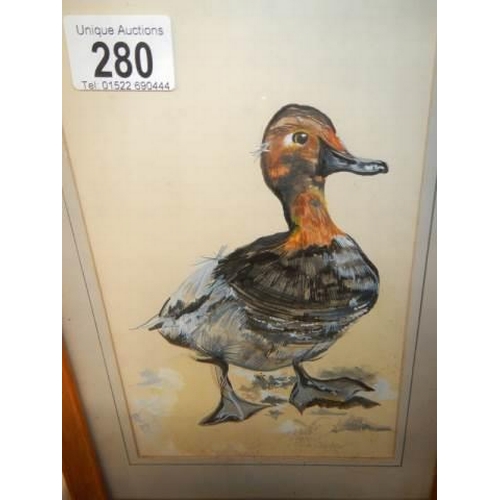 280 - A framed and glazed watercolour of a duck by Chris Clark.