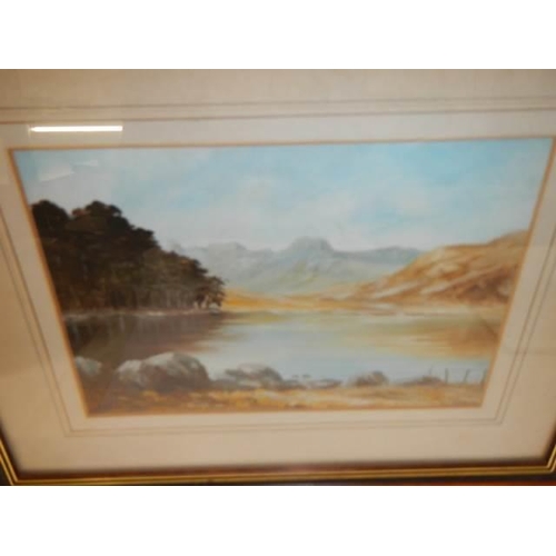 349 - A framed and glazed watercolour and a framed oil painting, COLLECT ONLY.