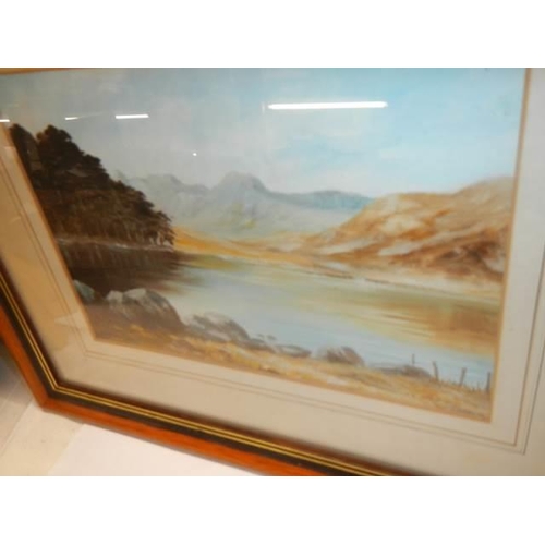 349 - A framed and glazed watercolour and a framed oil painting, COLLECT ONLY.