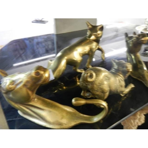 363 - Five solid brass animals.