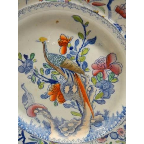 416 - A hand painted Chinese plate.