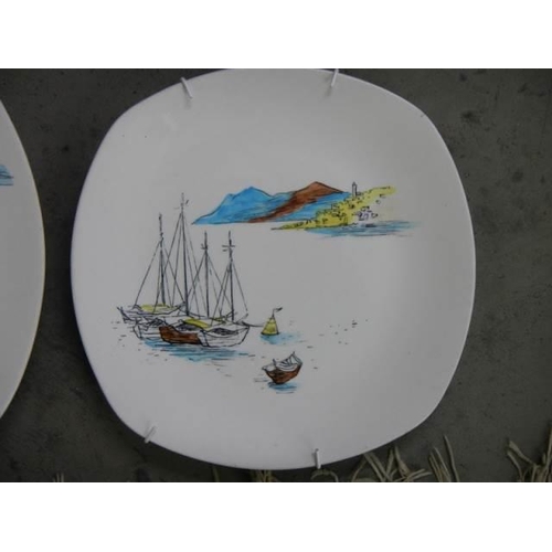 463 - Two Midwinter circa 1960's plates.