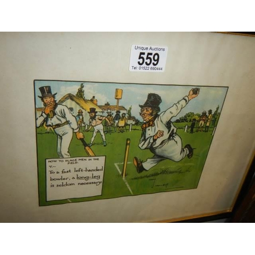 559 - Two framed and glazed humorous sporting prints. COLLECT ONLY.