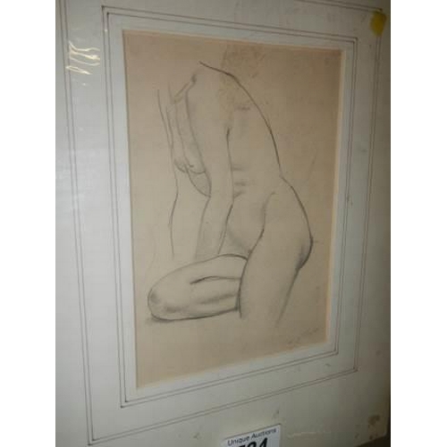 724 - An unframed nude study pencil drawing.