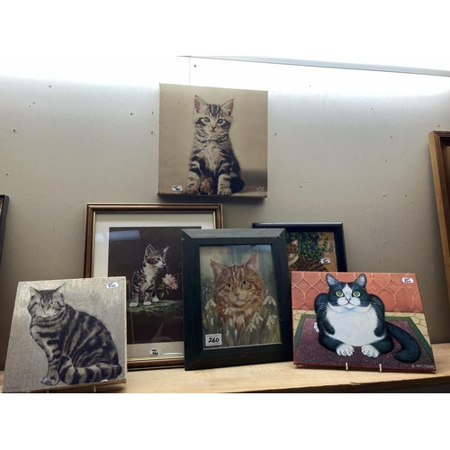 260 - A quantity of 6 small cat pictures