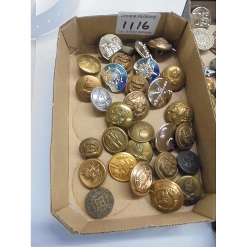 1116 - Three trays of assorted military buttons.