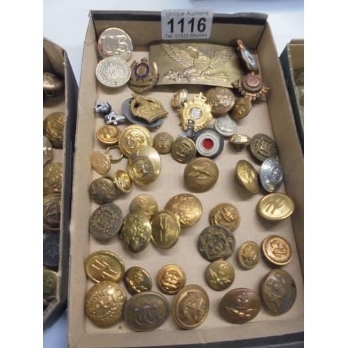 1116 - Three trays of assorted military buttons.