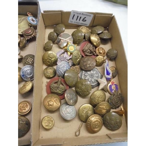 1116 - Three trays of assorted military buttons.