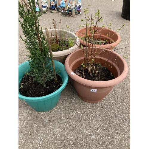 204 - 4 Large plastic tubs & plants