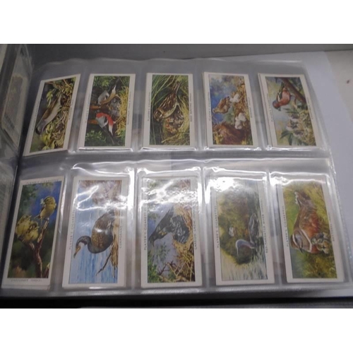 1175 - Two albums of sets of cigarette cards.