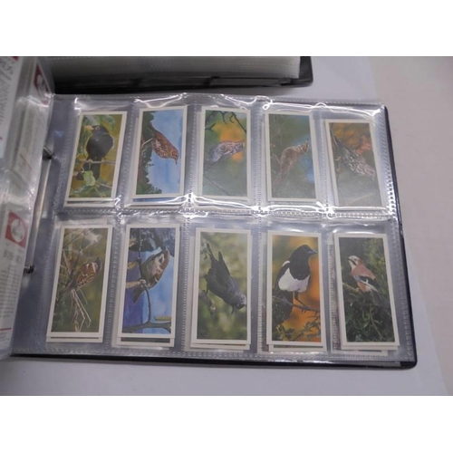 1175 - Two albums of sets of cigarette cards.