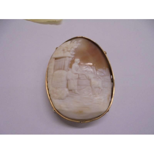 1078 - A large 19th century cameo depicting a woman feeding a young goat in a yellow metal mount.