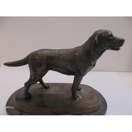 1216 - A bronze labrador on a marble base.