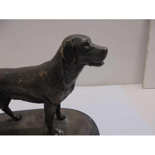 1216 - A bronze labrador on a marble base.