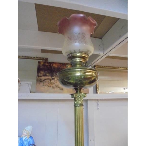 1246 - A brass Corinthian column oil lamp with Tulip shade, COLLECT ONLY.