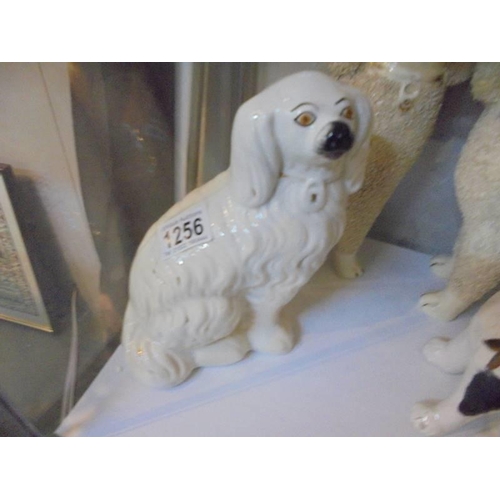 1256 - A pair of large Staffordshire poodles (1 a/f), 3 other Staffordshire dogs and a cat.